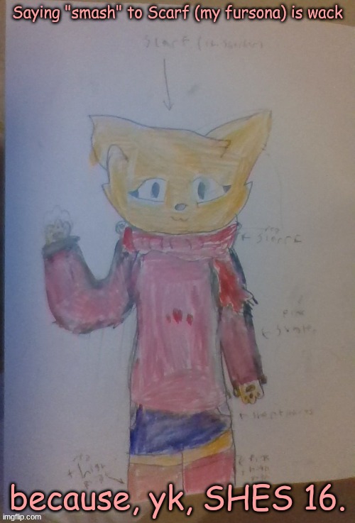 Saying "smash" to Scarf (my fursona) is wack; because, yk, SHES 16. | made w/ Imgflip meme maker