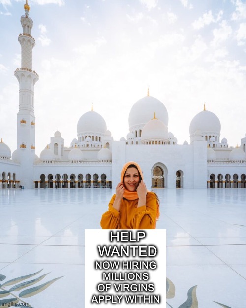 Yep | NOW HIRING MILLIONS OF VIRGINS APPLY WITHIN; HELP WANTED | image tagged in democrats,hamas | made w/ Imgflip meme maker