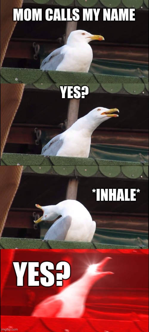 WHAT DO U WANT?!!? | MOM CALLS MY NAME; YES? *INHALE*; YES? | image tagged in memes,inhaling seagull | made w/ Imgflip meme maker