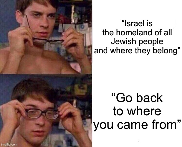 Friendly reminder: | “Israel is the homeland of all Jewish people and where they belong”; “Go back to where you came from” | image tagged in spiderman glasses | made w/ Imgflip meme maker