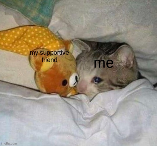 Status | me; my supportive friend | image tagged in crying cat | made w/ Imgflip meme maker