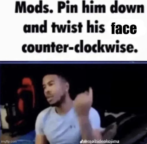 Mods. Pin him down and twist his nuts counter-clockwise. | face | image tagged in mods pin him down and twist his nuts counter-clockwise | made w/ Imgflip meme maker