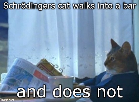 Here, kitty! Or not... | Schrödingers cat walks into a bar; and does not | image tagged in memes,i should buy a boat cat | made w/ Imgflip meme maker