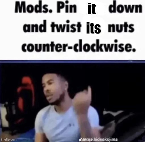 Mods. Pin him down and twist his nuts counter-clockwise. | its it | image tagged in mods pin him down and twist his nuts counter-clockwise | made w/ Imgflip meme maker