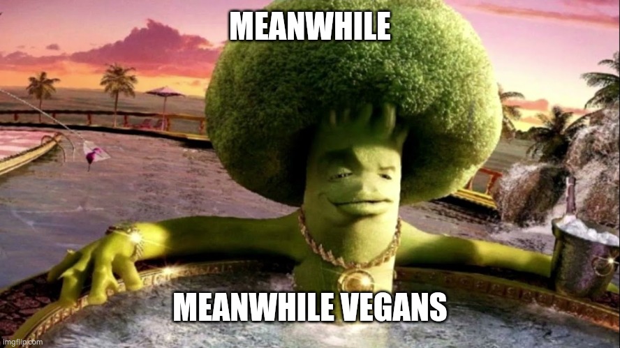 broccoli in hot tub | MEANWHILE MEANWHILE VEGANS | image tagged in broccoli in hot tub | made w/ Imgflip meme maker