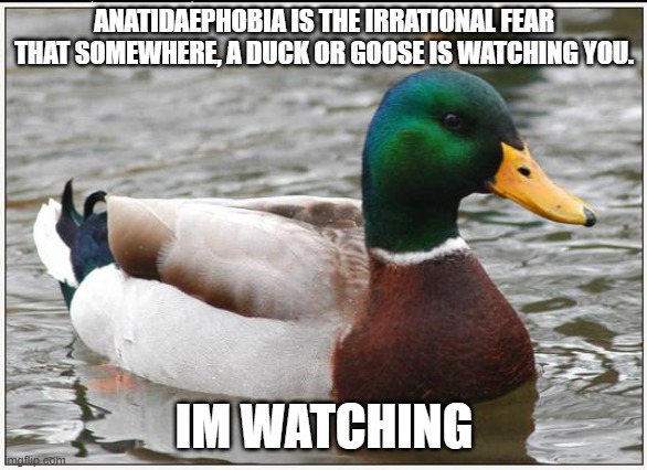 Actual Advice Mallard Meme | ANATIDAEPHOBIA IS THE IRRATIONAL FEAR THAT SOMEWHERE, A DUCK OR GOOSE IS WATCHING YOU. IM WATCHING | image tagged in memes,actual advice mallard | made w/ Imgflip meme maker