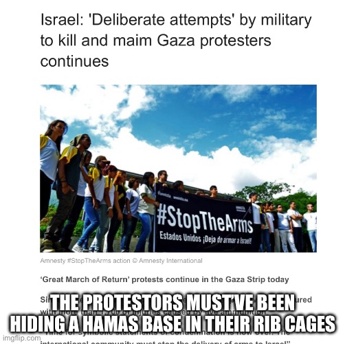 The banner looks like it could definitely be hiding a Hamas base in the fabric, no wonder they were shot by the IDF /s | THE PROTESTORS MUST’VE BEEN HIDING A HAMAS BASE IN THEIR RIB CAGES | made w/ Imgflip meme maker