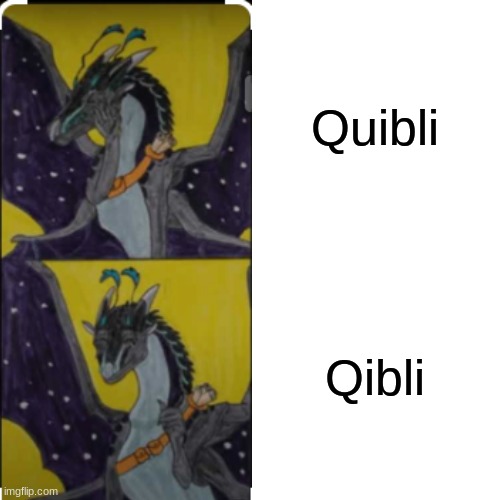 Quibli or Qibli that is the question? ( Lol i though Qibli was spelled Quibli before i realized my mistake of the spelling of hi | Quibli; Qibli | image tagged in memes,drake hotline bling | made w/ Imgflip meme maker