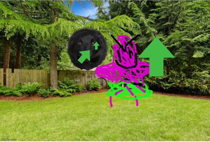 Sunny Backyard | image tagged in sunny backyard | made w/ Imgflip meme maker