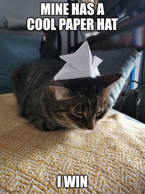 MINE HAS A COOL PAPER HAT I WIN | made w/ Imgflip meme maker