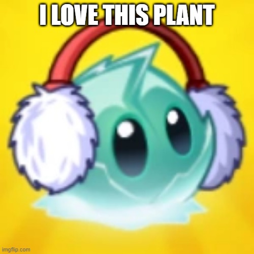 pvz iceberg lettuce | I LOVE THIS PLANT | image tagged in pvz iceberg lettuce | made w/ Imgflip meme maker