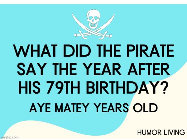 Aye matey | image tagged in funny,funny memes | made w/ Imgflip meme maker