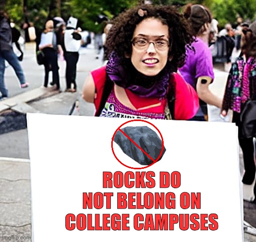 Big Sign Feminist Protester | ROCKS DO NOT BELONG ON COLLEGE CAMPUSES | image tagged in big sign feminist protester,liberals | made w/ Imgflip meme maker