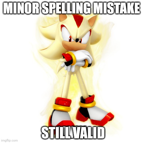Minor Spelling Mistake HD | STILL VALID | image tagged in minor spelling mistake hd | made w/ Imgflip meme maker