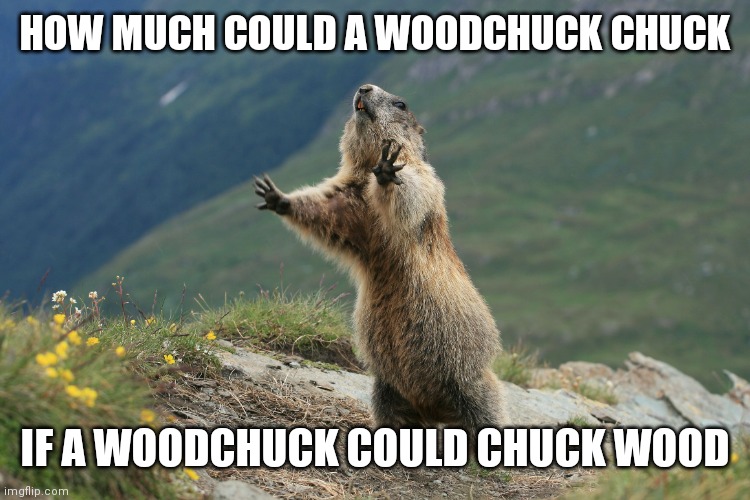 Woodchuck chuck | HOW MUCH COULD A WOODCHUCK CHUCK; IF A WOODCHUCK COULD CHUCK WOOD | image tagged in woodchuck,funny memes | made w/ Imgflip meme maker