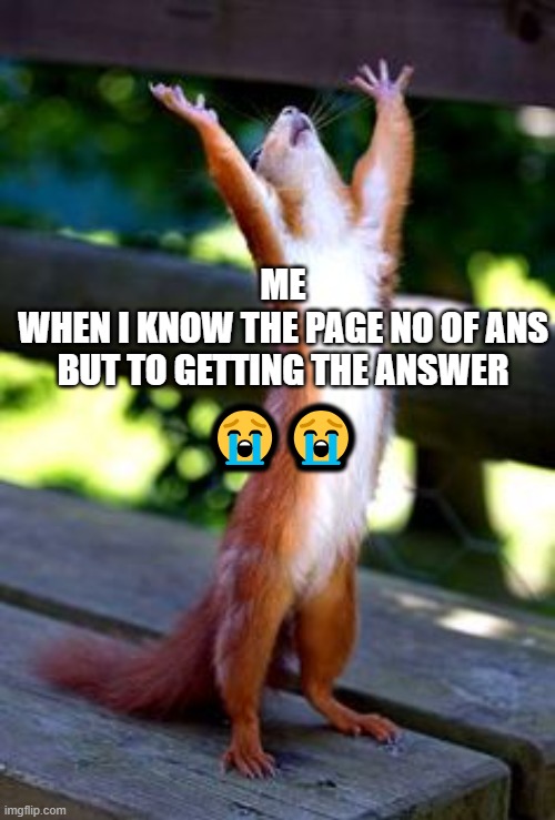 Praise God squirrel | 😭😭; ME
WHEN I KNOW THE PAGE NO OF ANS
BUT TO GETTING THE ANSWER | image tagged in praise god squirrel | made w/ Imgflip meme maker