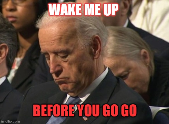 Wake me up | WAKE ME UP; BEFORE YOU GO GO | image tagged in sleeping joe biden,funny memes | made w/ Imgflip meme maker