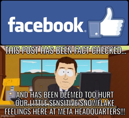 Snowflake meta | THIS POST HAS BEEN FACT CHECKED... AND HAS BEEN DEEMED TOO HURT OUR LITTLE SENSITIVE SNOWFLAKE FEELINGS HERE AT META HEADQUARTERS!!! | image tagged in facebook fact-checker | made w/ Imgflip meme maker