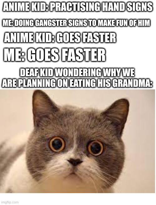 NNNOOOO WE FORGOT THE COMMA | ANIME KID: PRACTISING HAND SIGNS; ME: DOING GANGSTER SIGNS TO MAKE FUN OF HIM; ANIME KID: GOES FASTER; ME: GOES FASTER; DEAF KID WONDERING WHY WE ARE PLANNING ON EATING HIS GRANDMA: | image tagged in blank white template,fun,funny,eat grandma | made w/ Imgflip meme maker