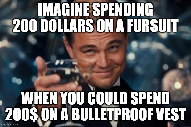 (joke) this is a joke i repeat THIS IS A JOKE | IMAGINE SPENDING 200 DOLLARS ON A FURSUIT; WHEN YOU COULD SPEND 200$ ON A BULLETPROOF VEST | image tagged in memes,leonardo dicaprio cheers | made w/ Imgflip meme maker
