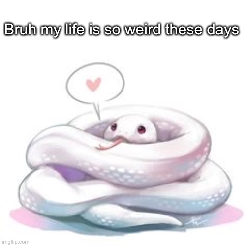 snek | Bruh my life is so weird these days | image tagged in snek | made w/ Imgflip meme maker