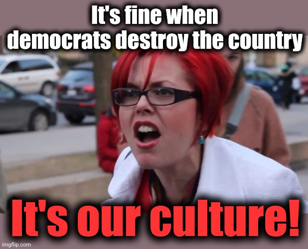 Big Red SJW | It's fine when democrats destroy the country It's our culture! | image tagged in big red sjw | made w/ Imgflip meme maker