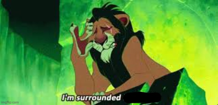 i'm surrounded by idiots | image tagged in i'm surrounded by idiots | made w/ Imgflip meme maker