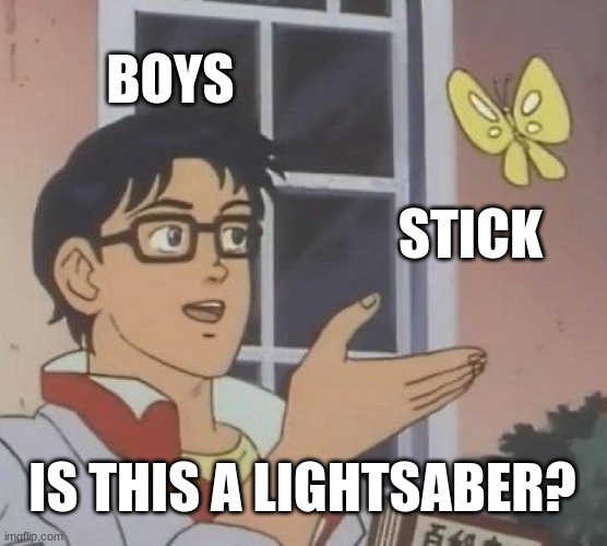 real | BOYS; STICK; IS THIS A LIGHTSABER? | image tagged in memes,is this a pigeon | made w/ Imgflip meme maker