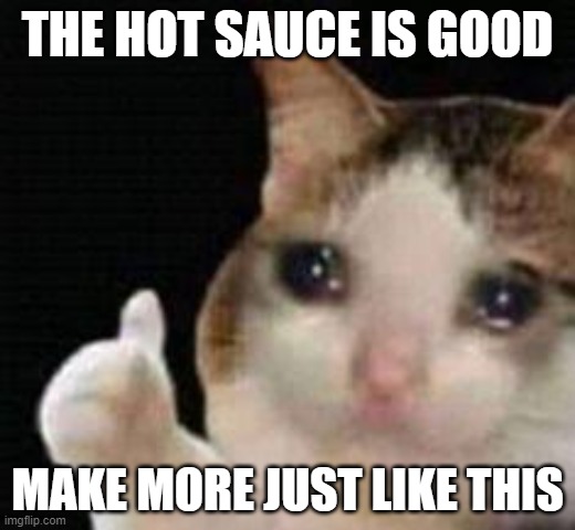POV: You are the one that taste tests the hot sauce | THE HOT SAUCE IS GOOD; MAKE MORE JUST LIKE THIS | image tagged in approved crying cat,hot sauce,its good | made w/ Imgflip meme maker