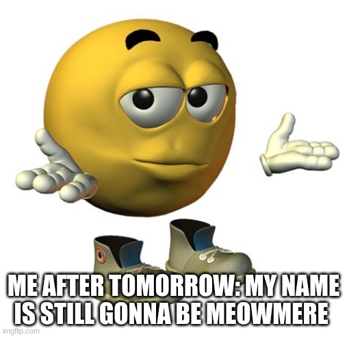 Yellow Emoji Face | ME AFTER TOMORROW: MY NAME IS STILL GONNA BE MEOWMERE | image tagged in yellow emoji face | made w/ Imgflip meme maker