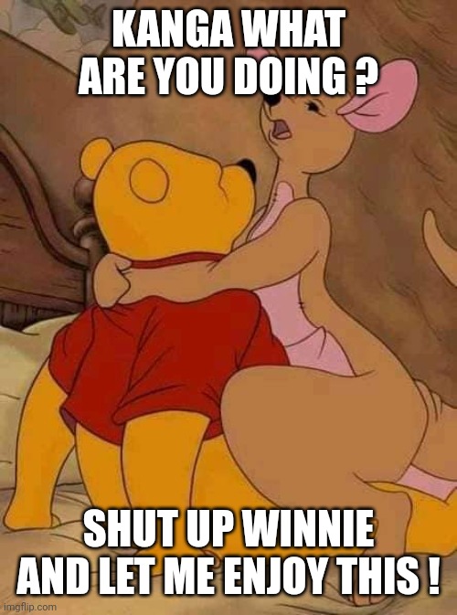 If Disney movies are for adults I am watching it | KANGA WHAT ARE YOU DOING ? SHUT UP WINNIE AND LET ME ENJOY THIS ! | image tagged in winnie the pooh,kangaroo,sex | made w/ Imgflip meme maker