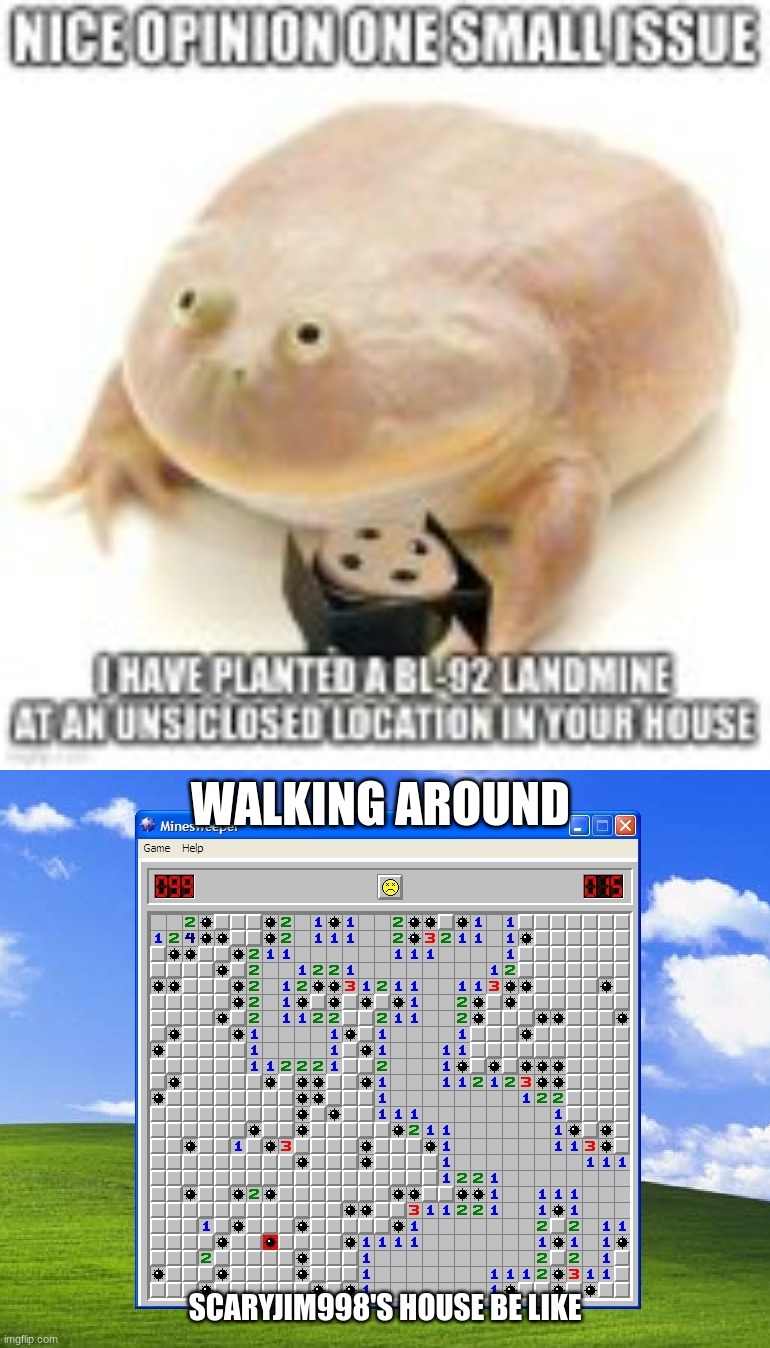 Scaryjim998's landmine | WALKING AROUND; SCARYJIM998'S HOUSE BE LIKE | image tagged in landmine | made w/ Imgflip meme maker