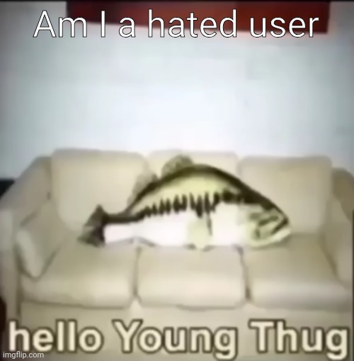 Hello Young Thug | Am I a hated user | image tagged in hello young thug | made w/ Imgflip meme maker