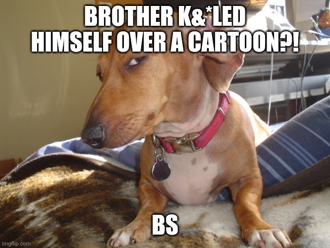 What's everyone's problem with mepios anyway? | BROTHER K&*LED HIMSELF OVER A CARTOON?! BS | image tagged in suspicious dog | made w/ Imgflip meme maker