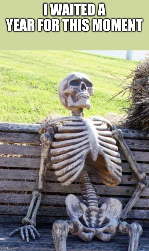 who can agree | I WAITED A YEAR FOR THIS MOMENT | image tagged in memes,waiting skeleton | made w/ Imgflip meme maker