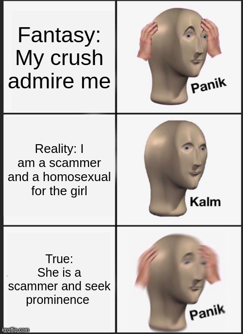 true | Fantasy: My crush admire me; Reality: I am a scammer and a homosexual for the girl; True: She is a scammer and seek prominence | image tagged in memes,panik kalm panik | made w/ Imgflip meme maker
