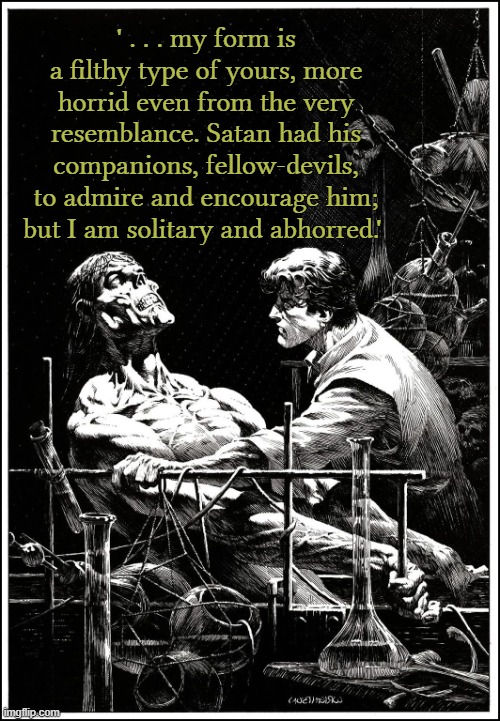 ' . . . my form is a filthy type of yours, more horrid even from the very resemblance. Satan had his companions, fellow-devils, to admire and encourage him; but I am solitary and abhorred.' | image tagged in frankenstein,frankenstein's monster,horror,science fiction | made w/ Imgflip meme maker
