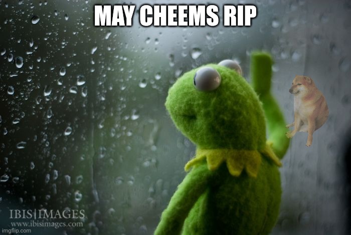 kermit window | MAY CHEEMS RIP | image tagged in kermit window | made w/ Imgflip meme maker