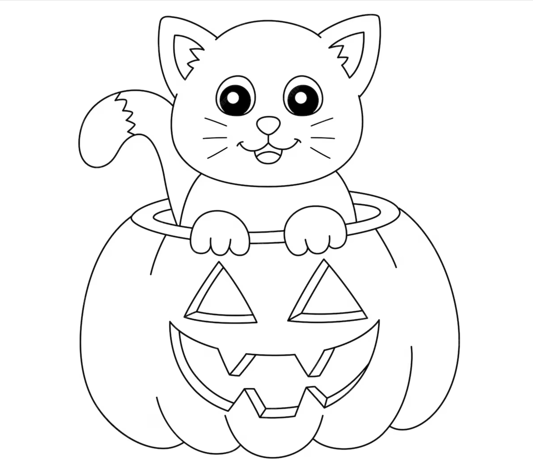 Candy cat Blank Meme Template
