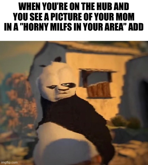 Drunk Kung Fu Panda | WHEN YOU’RE ON THE HUB AND YOU SEE A PICTURE OF YOUR MOM IN A ”HORNY MILFS IN YOUR AREA” ADD | image tagged in drunk kung fu panda | made w/ Imgflip meme maker