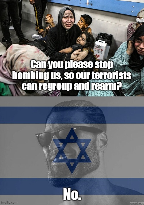 Israel isn't going anywhere | Can you please stop bombing us, so our terrorists can regroup and rearm? No. | image tagged in israel,gaza,terrorism,terrorist,never again | made w/ Imgflip meme maker