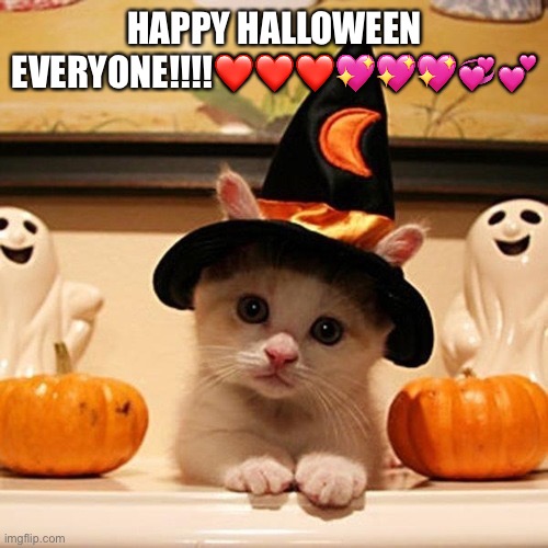 It’s Halloween!!!!???? | HAPPY HALLOWEEN EVERYONE!!!!❤️❤️❤️💖💖💖💞💕 | image tagged in cute halloween kitten | made w/ Imgflip meme maker