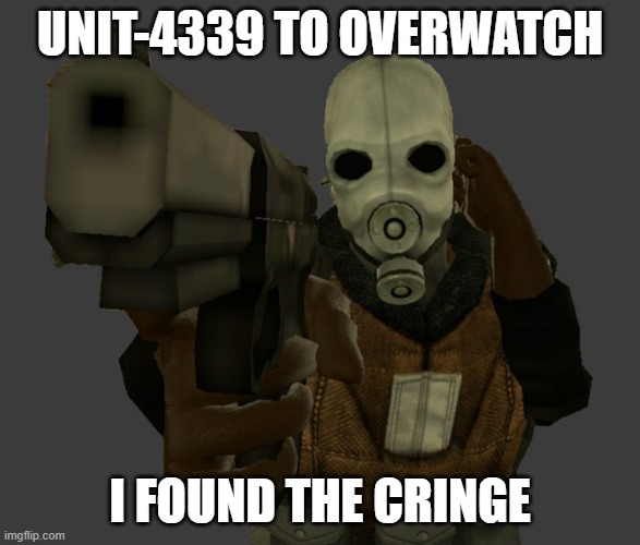 Suspect; you have been charged with 10-103m, disturbance by mentally unfit | UNIT-4339 TO OVERWATCH; I FOUND THE CRINGE | image tagged in half life,gas mask,gmod,garry's mod,memes | made w/ Imgflip meme maker