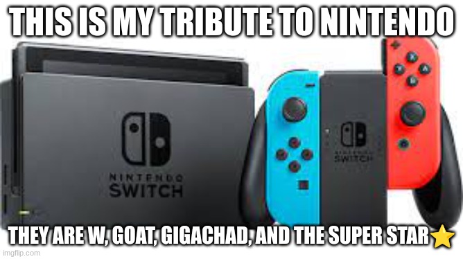 THIS IS MY TRIBUTE TO NINTENDO; THEY ARE W, GOAT, GIGACHAD, AND THE SUPER STAR⭐ | image tagged in nintendo | made w/ Imgflip meme maker