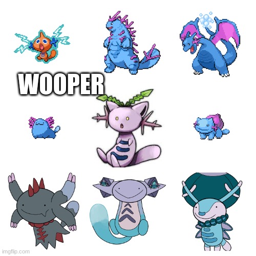wooperfusions2 | WOOPER | made w/ Imgflip meme maker