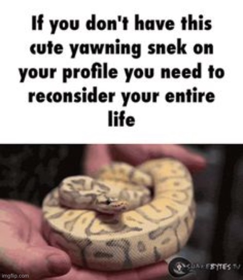 The marvelous snek | image tagged in the marvelous snek | made w/ Imgflip meme maker