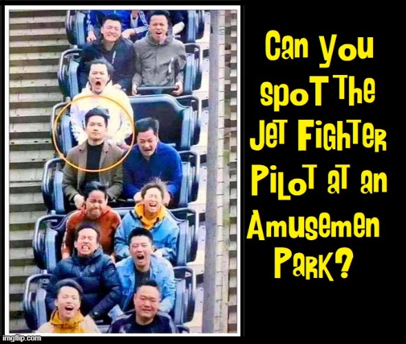 "Hm, how exciting!" —Fighter Pilot | image tagged in vince vance,memes,fighter pilot,roller coaster,amusement park,fighter jet | made w/ Imgflip meme maker