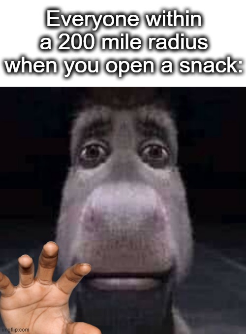 ok ok so we're best friends right | Everyone within a 200 mile radius when you open a snack: | image tagged in donkey staring,donkey,snacks,food,grab,lol | made w/ Imgflip meme maker