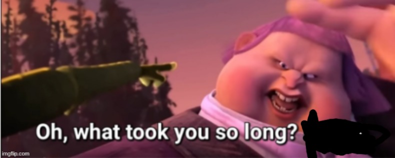 Oh, what took you so long? Idiot! | image tagged in oh what took you so long idiot | made w/ Imgflip meme maker