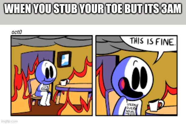 this is fine different template | WHEN YOU STUB YOUR TOE BUT ITS 3AM | image tagged in this is fine different template | made w/ Imgflip meme maker